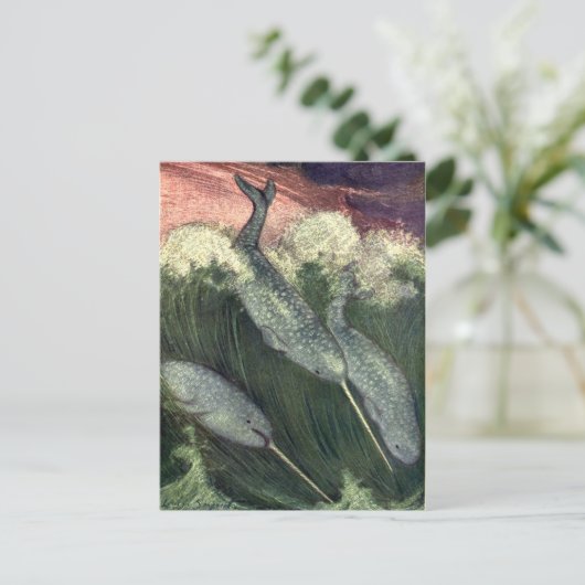  walvissen, zeedieren briefkaart (Staand voorkant)