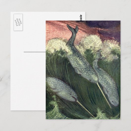  walvissen, zeedieren briefkaart (Voorkant / Achterkant)