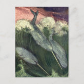  walvissen, zeedieren briefkaart (Voorkant)