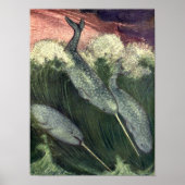  walvissen, zeedieren poster (Voorkant)