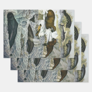 Walvissen, zeehonden en walrussen, antieke mariene inpakpapier vel