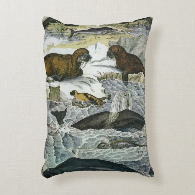  walvissen, zeehonden en walrussen, zeedieren accent kussen (Voorkant(Verticaal))