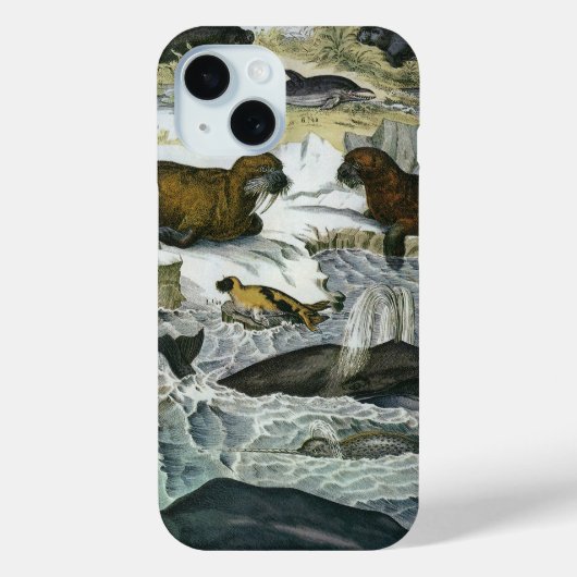  walvissen, zeehonden en walrussen, zeedieren Case-Mate iPhone case (Achterkant)