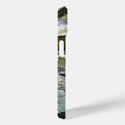 walvissen, zeehonden en walrussen, zeedieren Case-Mate iPhone case (Achterkant / Rechts)