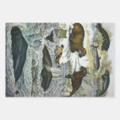 walvissen, zeehonden en walrussen, zeedieren inpakpapier vel (Voorkant 3)