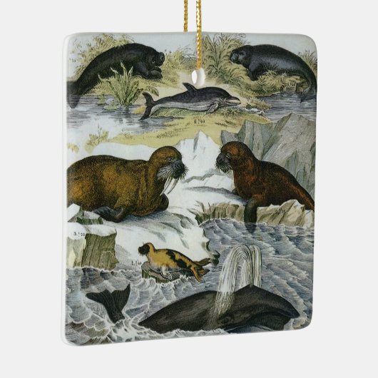  walvissen, zeehonden en walrussen, zeedieren keramisch ornament (Rechts)