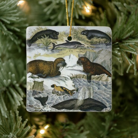  walvissen, zeehonden en walrussen, zeedieren keramisch ornament (Boom)