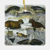  walvissen, zeehonden en walrussen, zeedieren keramisch ornament (Voorkant)