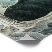  walvissen, zeehonden en walrussen, zeedieren poster (Hoek)