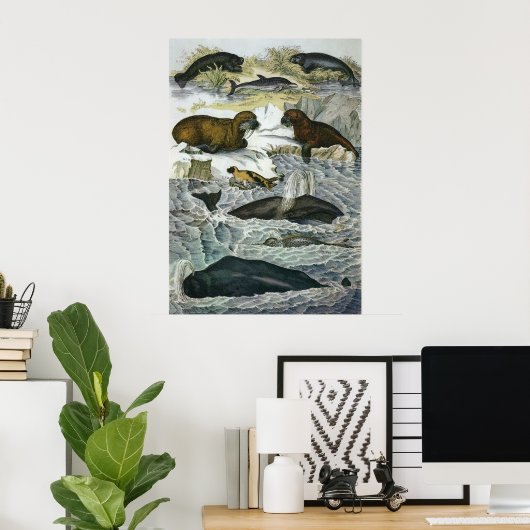  walvissen, zeehonden en walrussen, zeedieren poster (Thuiskantoor)