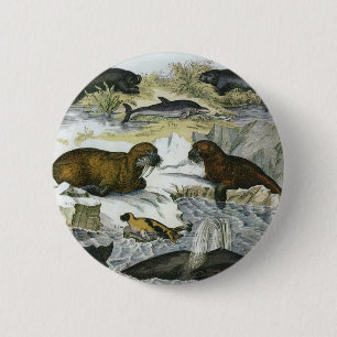 walvissen, zeehonden en walrussen, zeedieren ronde button 5,7 cm