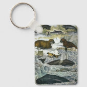  walvissen, zeehonden en walrussen, zeedieren sleutelhanger (Voorkant)
