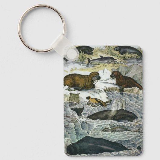  walvissen, zeehonden en walrussen, zeedieren sleutelhanger (Voorkant)