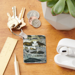  walvissen, zeehonden en walrussen, zeedieren sleutelhanger