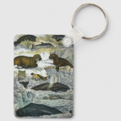  walvissen, zeehonden en walrussen, zeedieren sleutelhanger (Achterkant)