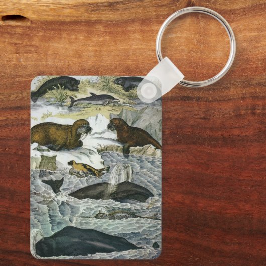  walvissen, zeehonden en walrussen, zeedieren sleutelhanger (Achterkant)