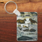  walvissen, zeehonden en walrussen, zeedieren sleutelhanger (Voorkant)
