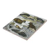  walvissen, zeehonden en walrussen, zeedieren tegeltje (Zijkant)