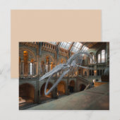 walvisskelet briefkaart (Voorkant / Achterkant)