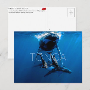 Walvisspotten, Tonga Reisansichtkaart Briefkaart