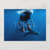 Walvisspotten, Tonga Reisansichtkaart Briefkaart (Voorkant)