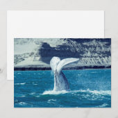 Walvisstaart - Argentinië Kaart (Voorkant / Achterkant)