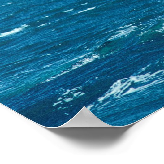 Walvisstaart - Argentinië Poster (Hoek)