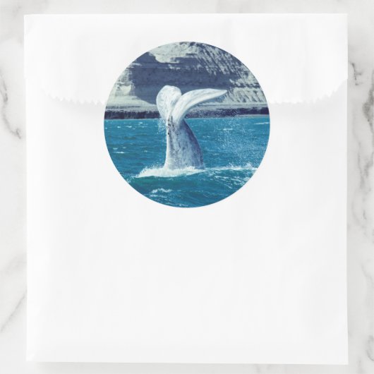 Walvisstaart - Argentinië Ronde Sticker (Tas)