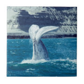 Walvisstaart - Argentinië Tegeltje (Voorkant)