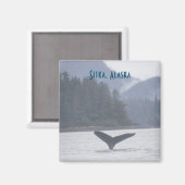 Walvisstaart Sitka Alaska magneet (Voorkant / Achterkant)