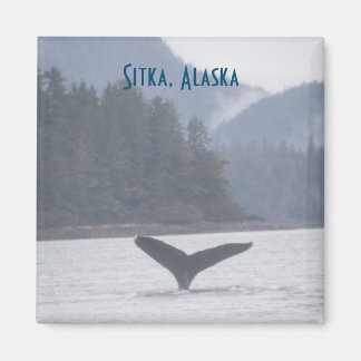 Walvisstaart Sitka Alaska magneet