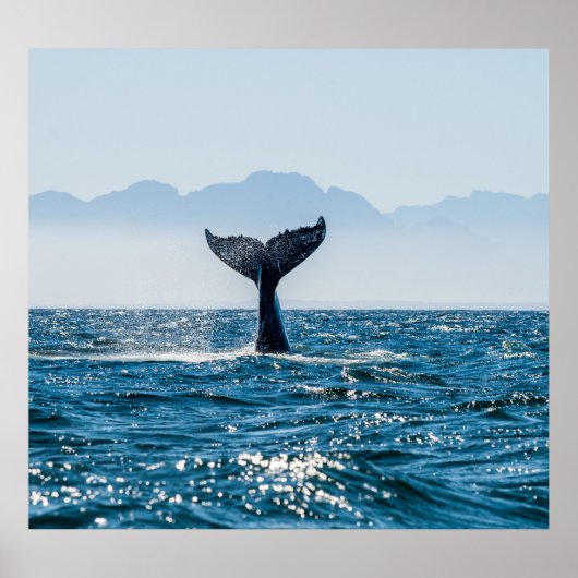 Walvisstaart Zeegezicht: dramatisch water. Poster (Voorkant)