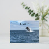 Walvisvangst in Galapagos Santa Cruz Ecuador Briefkaart (Staand voorkant)