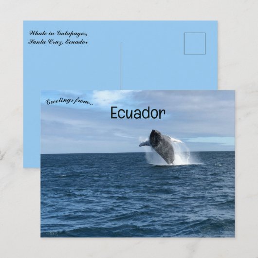 Walvisvangst in Galapagos Santa Cruz Ecuador Briefkaart (Voorkant / Achterkant)