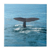 Walvisvis Tegeltje (Voorkant)