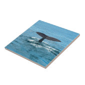 Walvisvis Tegeltje (Zijkant)