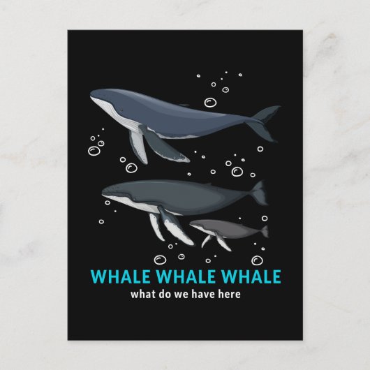 walviswalvis wat hebben we hier? feestdagenkaart (Voorkant)