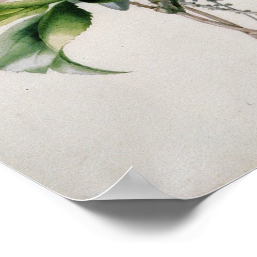 wamellia en Broom Poster (Hoek)