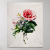 wamellia en Broom Poster (Voorkant)