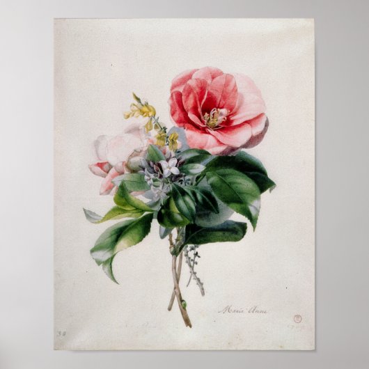 wamellia en Broom Poster (Voorkant)