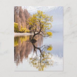 Wanaka Natuur in het najaar van de boom Briefkaart