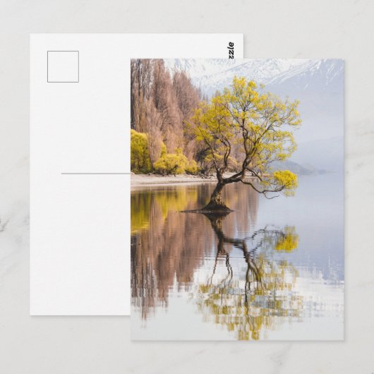 Wanaka Natuur in het najaar van de boom Briefkaart (Voorkant / Achterkant)