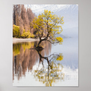 Wanaka Natuur in het najaar van de boom Poster