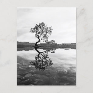 Wanaka Tree New Zealand Landscape Photography Briefkaart