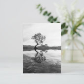 Wanaka Tree New Zealand Landscape Photography Briefkaart (Staand voorkant)