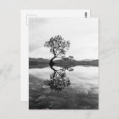 Wanaka Tree New Zealand Landscape Photography Briefkaart (Voorkant / Achterkant)