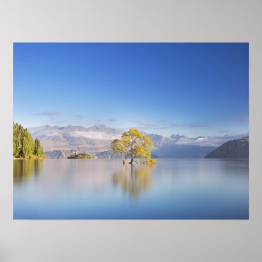 Wanaka Tree New Zealand Landscape Photography Poster (Voorkant)