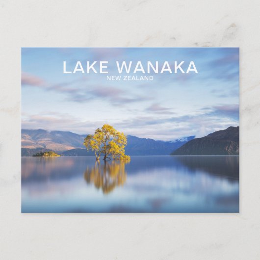 Wanaka Tree New Zealand Travel Briefkaart (Voorkant)