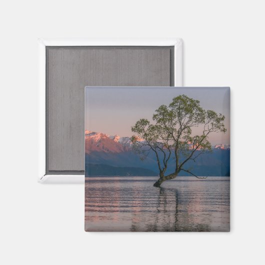 Wanaka Tree, Nieuw-Zeelandse magneet (Voorkant / Achterkant)
