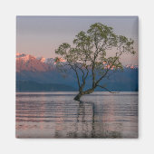 Wanaka Tree, Nieuw-Zeelandse magneet (Voorkant)